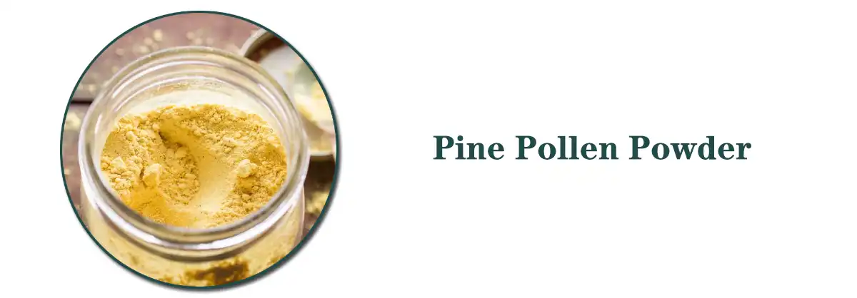 Pine Pollen Powder.jpg